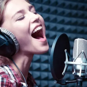 best-singing-mic-hero