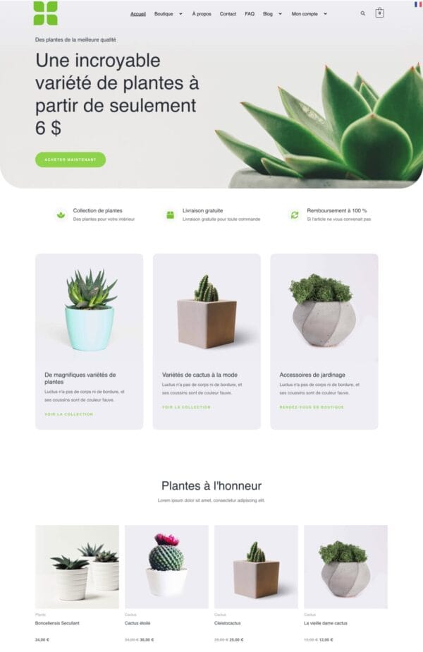 boutiquePlantes331